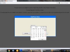 DatePicker Object Demo