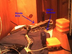 HonOBDapt
