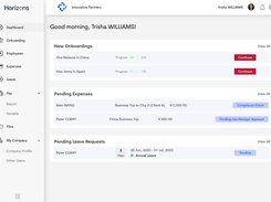 The Horizons dashboard gives an overview of your global team.