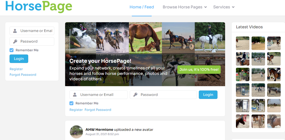 HorsePage Screenshot 1