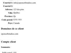 2- Client details printout