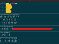 hostscope showing system with ZFS