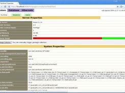 Runtime Properties