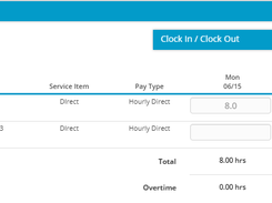 Timesheet View