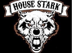 House_Stark Screenshot 1