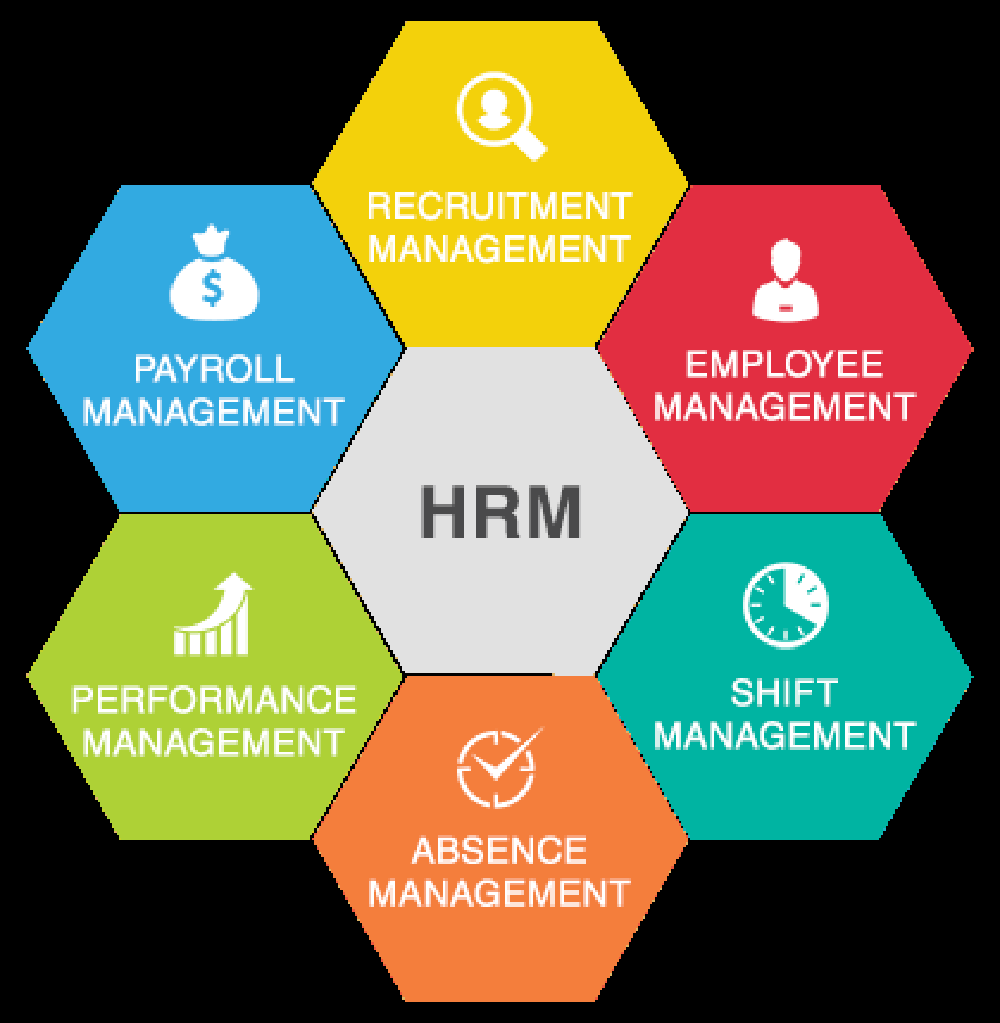 Dynamic Human Resource Management system