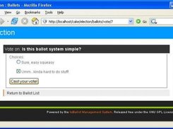 User interface: The voting form