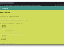 HTML_And_CSS_Basics_With_Important_Tags Screenshot 1
