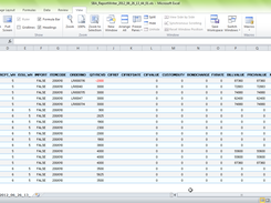 Excel Report