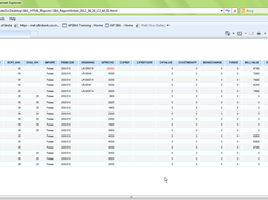HTML Report