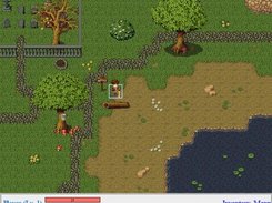 Viewing the map in game.