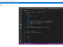Html ex