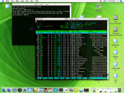 htop 2.3.0 on Mac OS X Tiger i386