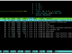 htop Screenshot 1