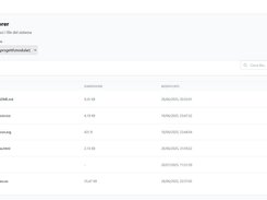 File explorer