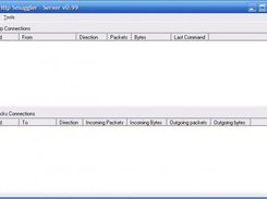 Screenshot of the server running