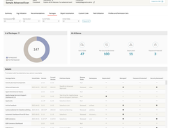 Packages Dashboard of an Advanced Scan