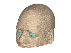 Head Voxel Model
