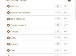 Detail-view of available accessibility profiles