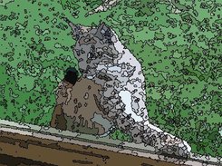 segmented lynx image as a borderd mosaic