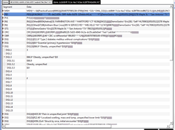 Loaded File