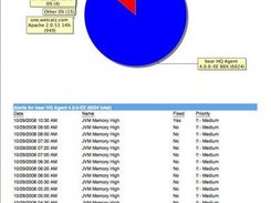 Hyperic HQ Report Detail