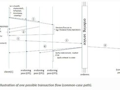 Hyperledger Fabric Screenshot 1