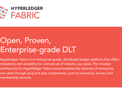 Hyperledger Fabric Screenshot 1