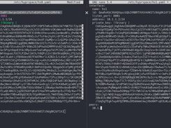 Hyprspace Screenshot 1