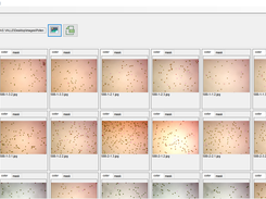 Photo Measure ( Pollen Viability) Screenshot 1