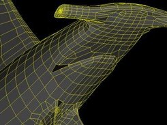 Hammerhead Shark (surface visualization)