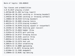 I3D models trained on Kinetics Screenshot 1