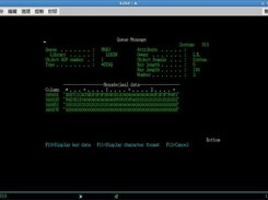 Use function key F11 to exchange between character format an