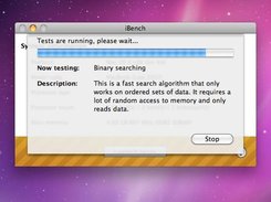 iBench 1.1 executing the Binary Search test
