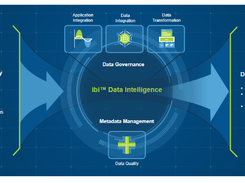 ibi Data Intelligence Screenshot 1