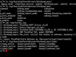 ThinkPad-ACPI 0.19-20080321 sysfs interface