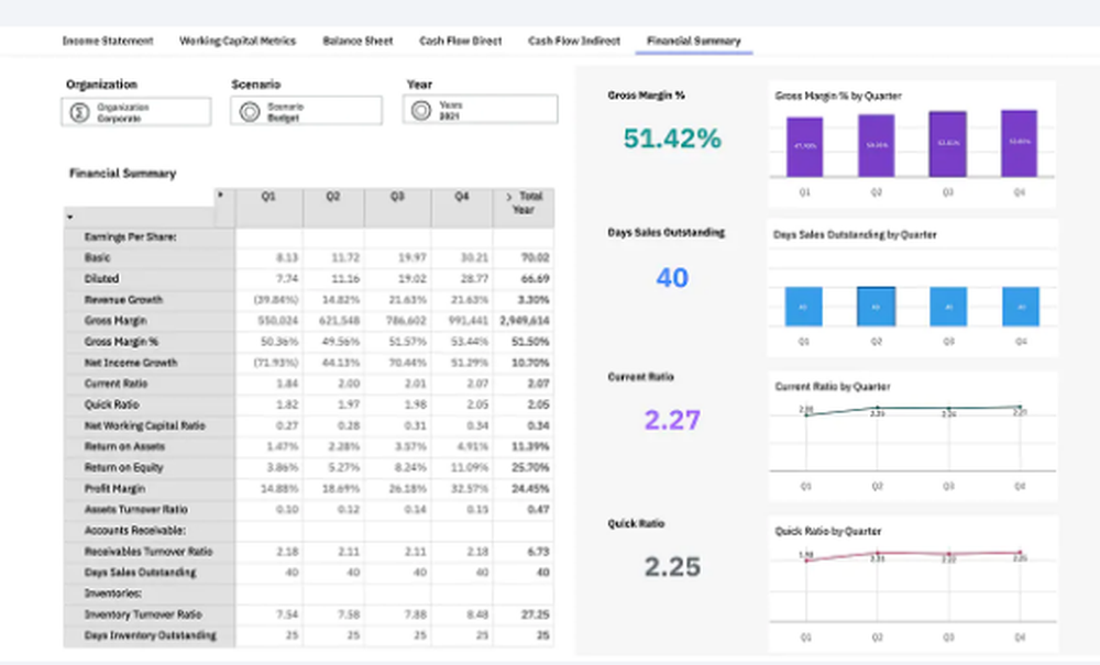 IBM Business Analytics Screenshot 1