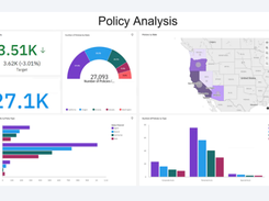 IBM Business Analytics Screenshot 2