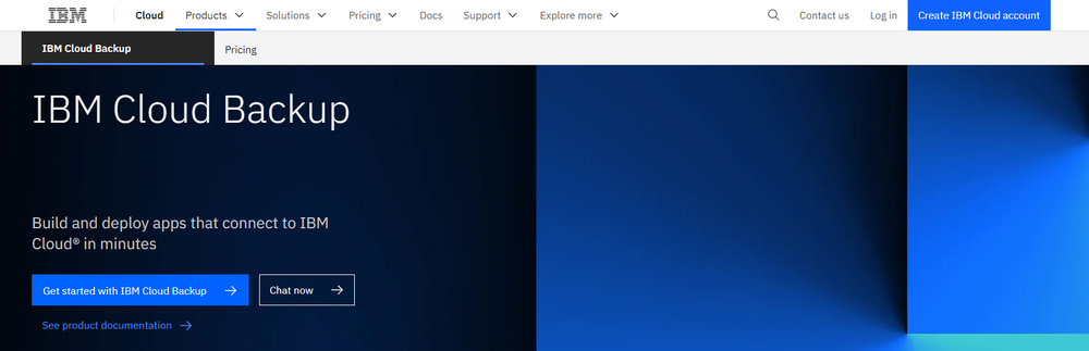 IBM Cloud Backup Screenshot 1