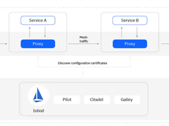 IBM Cloud Managed Istio Screenshot 1