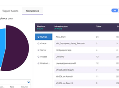 IBM Data Risk Manager Screenshot 3