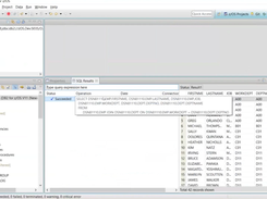 IBM Developer for z Systems Screenshot 2