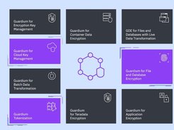 IBM Security Guardium Data Encryption Screenshot 1