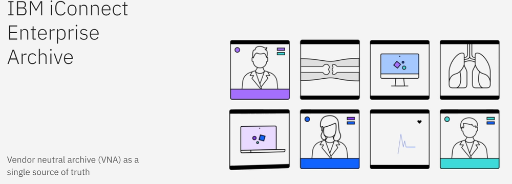 IBM iConnect Enterprise Archive Screenshot 1