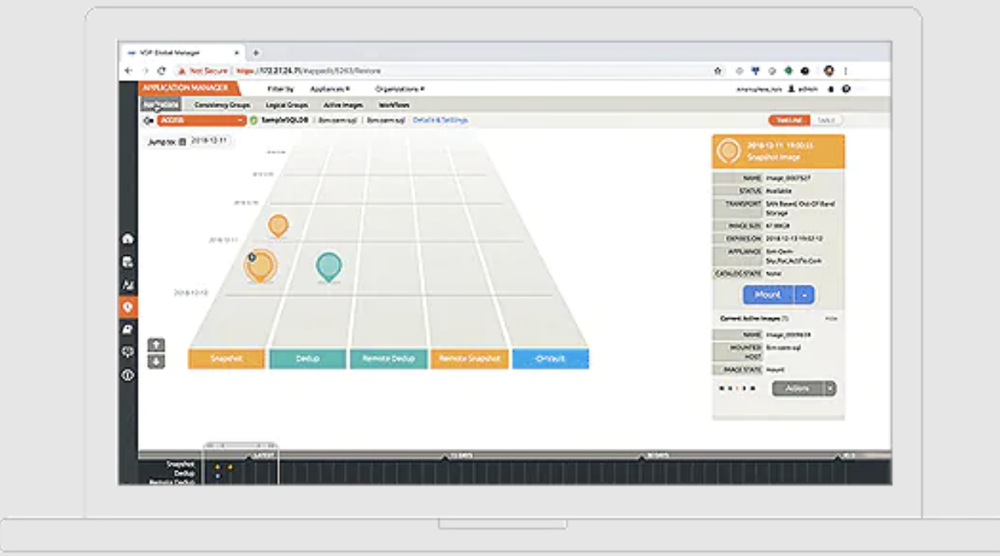 IBM InfoSphere Optim Screenshot 1