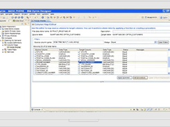 IBM InfoSphere Optim Screenshot 2