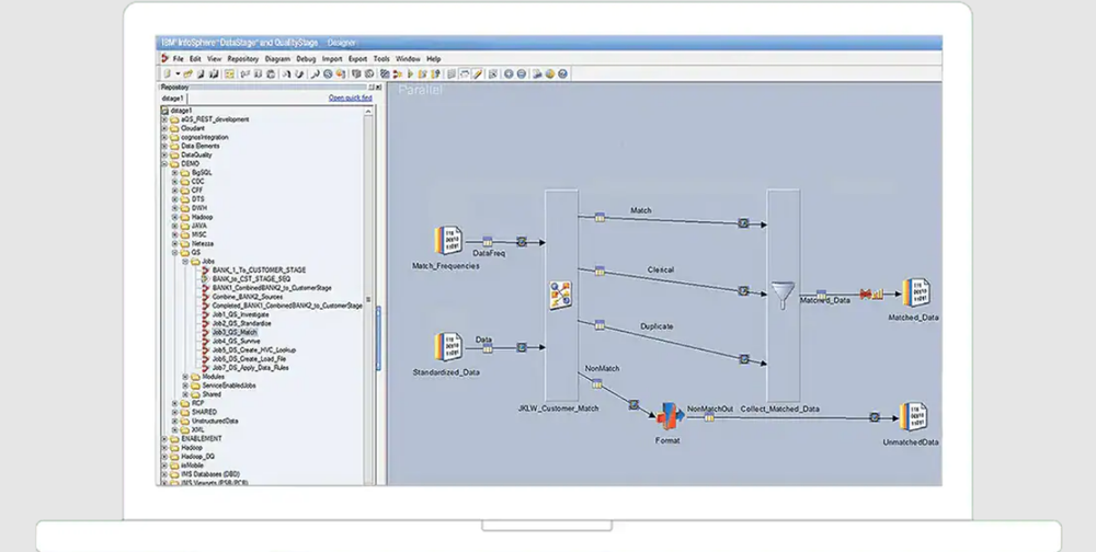 IBM InfoSphere QualityStage Screenshot 1