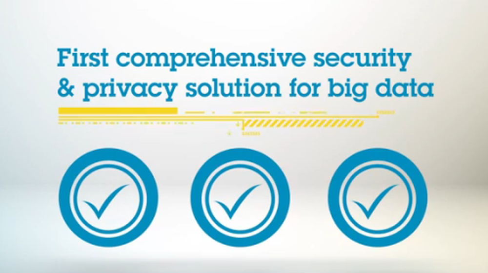 IBM InfoSphere Optim Data Privacy Screenshot 1