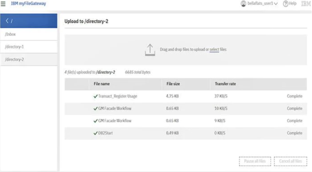 IBM Sterling File Gateway Screenshot 1