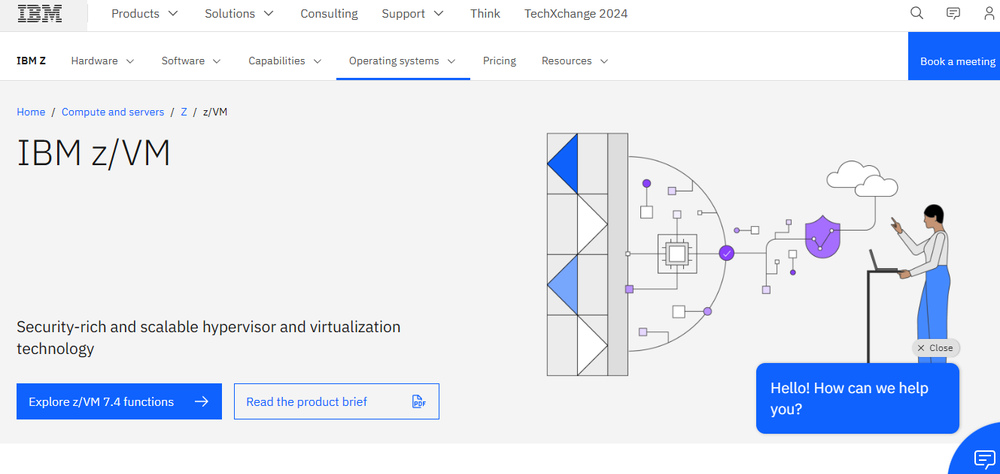 IBM z/VM Screenshot 1